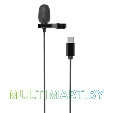 Микрофон Ritmix RCM-210